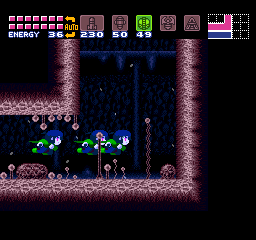 Kappa nyooming through Brinstar